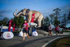 BIB: 
                            <button type="button" onclick="openModal(26541770)" class="btn btn-primary btn-sm float-right btn-popup" data-toggle="modal" data-target=".modal-high-quality">
                        <i class="fas fa-shopping-cart"></i> Add to Cart
                    </button>
                                            <button type="button" onclick="isThisMe(26541770, true)" class="btn btn-success btn-sm float-right btn-popup btn-isme hidden" data-toggle="tooltip" data-placement="bottom" title="นี่คือรูปของคุณใช่ไหม คลิกที่นี่เพื่อเอาเข้าอัลบั้ม">
                        <i class="fas fa-plus"></i> Add to album
                    </button>
                    <button type="button" onclick="isThisMe(26541770, false)" class="btn btn-warning btn-sm float-right btn-popup btn-isnotme hidden">
                        <i class="fas fa-ban"></i> Remove from album
                    </button>